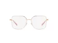 Michael Kors Naxos MK 3056 1108 55 Women glasses