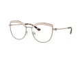 Michael Kors Napier MK 3072 1108 54 Women glasses