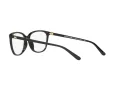 Michael Kors Santa Clara MK 4067U 3005 55 Women glasses