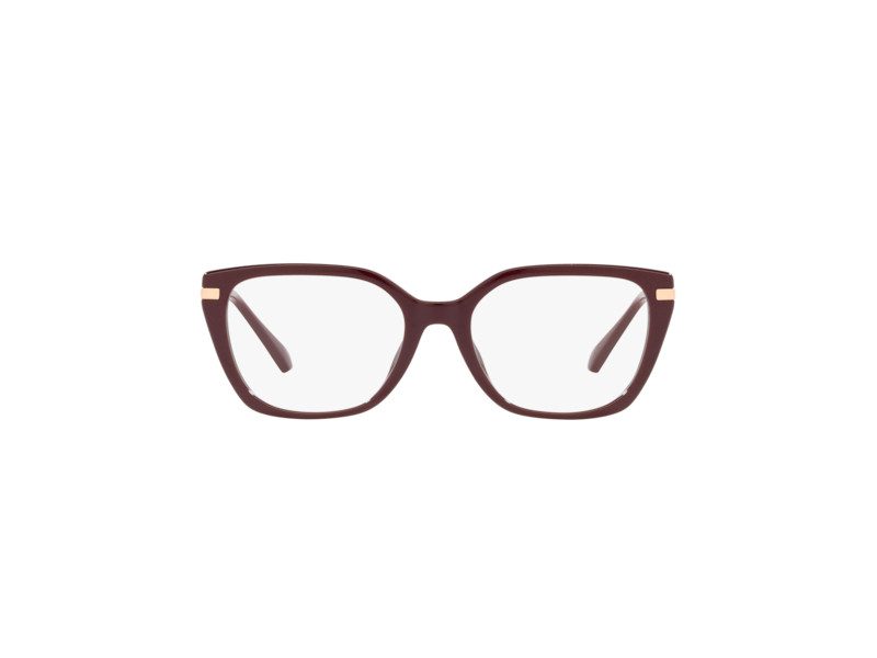 Michael Kors Bergen MK 4083U 3255 53 Women glasses