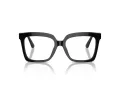 Michael Kors Nassau MK 4119U 3005 53 Women glasses