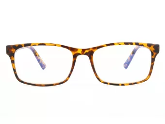 Computer glasses BLF73A