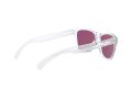 Oakley Frogskins Xs OJ 9006 14 53 Children sunglasses