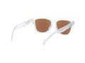 Oakley Frogskins Xs OJ 9006 15 53 Children sunglasses