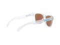 Oakley Frogskins Xs OJ 9006 15 53 Children sunglasses