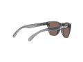 Oakley Frogskins Xxs OJ 9009 02 48 Children sunglasses