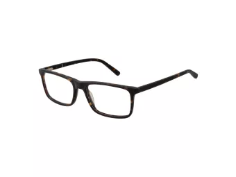 OK OK 1704 331 55 Men glasses