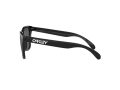 Oakley Frogskins OO 9013 C4 55 Men sunglasses