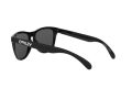 Oakley Frogskins OO 9013 C4 55 Men sunglasses