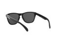Oakley Frogskins OO 9013 C4 55 Men sunglasses