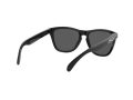 Oakley Frogskins OO 9013 C4 55 Men sunglasses