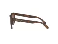 Oakley Frogskins OO 9013 C5 55 Men, Women sunglasses