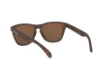 Oakley Frogskins OO 9013 C5 55 Men, Women sunglasses