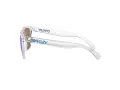 Oakley Frogskins OO 9013 D0 55 Men sunglasses