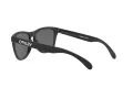 Oakley Frogskins OO 9013 F7 55 Men sunglasses