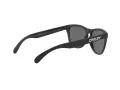 Oakley Frogskins OO 9013 F7 55 Men sunglasses