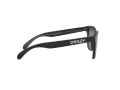 Oakley Frogskins OO 9013 F7 55 Men sunglasses