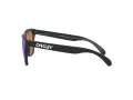 Oakley Frogskins OO 9013 H6 55 Men sunglasses