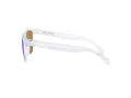 Oakley Frogskins OO 9013 H7 55 Men sunglasses