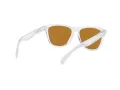 Oakley Frogskins OO 9013 H7 55 Men sunglasses