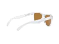 Oakley Frogskins OO 9013 H7 55 Men sunglasses