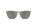 Oakley Frogskins OO 9013 M2 55 Men sunglasses