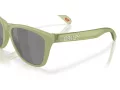 Oakley Frogskins OO 9013 M2 55 Men sunglasses