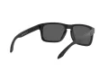 Oakley Holbrook OO 9102 D6 55 Men sunglasses
