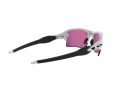 Oakley Flak 2.0 Xl OO 9188 03 59 Men sunglasses