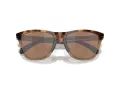 Oakley Frogskins Range OO 0OO9284 928407 55 Men sunglasses