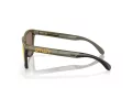 Oakley Frogskins Range OO 0OO9284 928408 55 Men sunglasses
