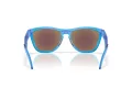 Oakley Frogskins Hybrid OO 9289 09 55 Men sunglasses