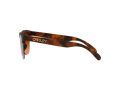 Oakley Frogskins Lite 9374 50 63 Men sunglasses
