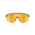 Oakley Stunt Devil S OO 9518 05 136 Men, Women sunglasses