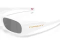 Oakley Permian OO 9520 02 59 Men, Women sunglasses