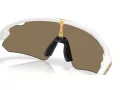 Oakley Stunt Devil A OO 9525 08 137 Men, Women sunglasses