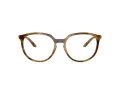 Oakley Bmng OX 8150 02 53 Women glasses