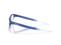 Oakley Centerboard OX 8163 11 55 Men glasses