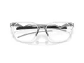 Oakley Cerebral OX 8187 03 55 Men glasses