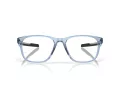 Oakley Cerebral OX 8187 04 55 Men glasses