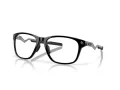 Oakley Cerebral OX 8187 05 55 Men glasses