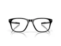 Oakley Cerebral OX 8187 05 57 Men glasses