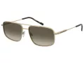Pierre Cardin PC 6910/S AOZ/HA 60 Men sunglasses