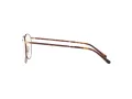 Polo PH 1179 9384 48 Men glasses
