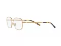 Polo PH 1218 9324 52 Men glasses