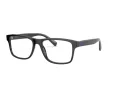 Polo PH 2223 5001 58 Men glasses