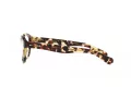 Polo PH 2261U 6083 53 Men glasses