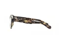Polo PH 2261U 6087 53 Men glasses