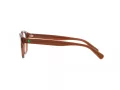 Polo PH 2262 6086 48 Men glasses