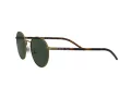 Polo PH 3133 9324/71 51 Men sunglasses